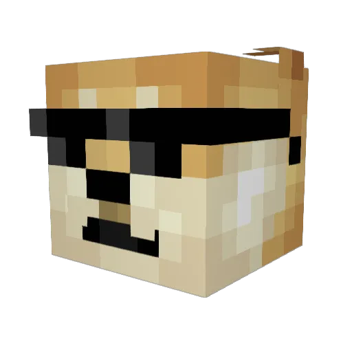 Spaxhplays Minecraft avatar head, 3D render