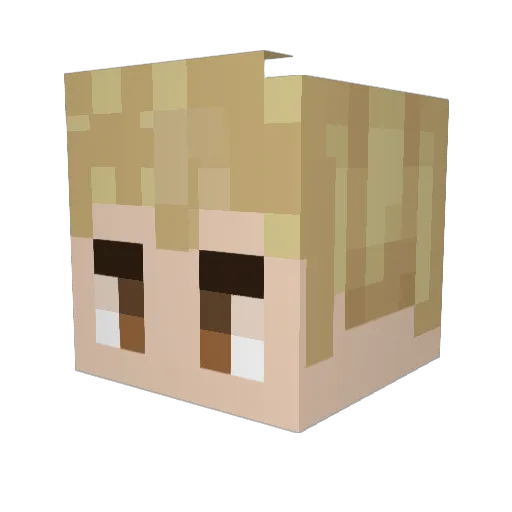 Spayde_135 Minecraft avatar head, 3D render