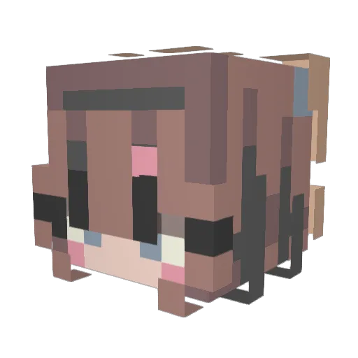 Spcaiy Minecraft avatar head, 3D render
