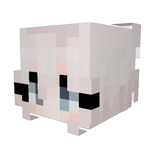 SpceSurfer Minecraft avatar head, 3D render