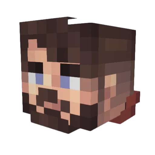 Spe1tWrong Minecraft avatar head, 3D render