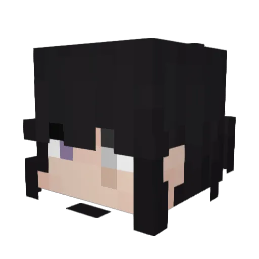 Spear_it_bear Minecraft avatar head, 3D render