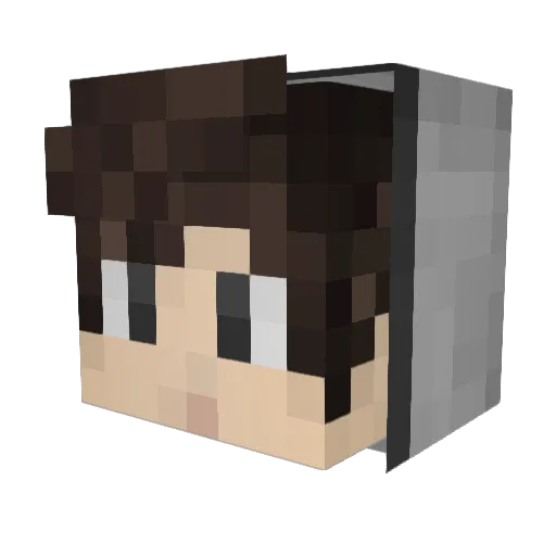 SpecK200 Minecraft avatar head, 3D render