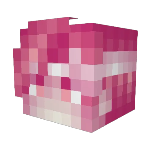 SpecialBreak Minecraft avatar head, 3D render