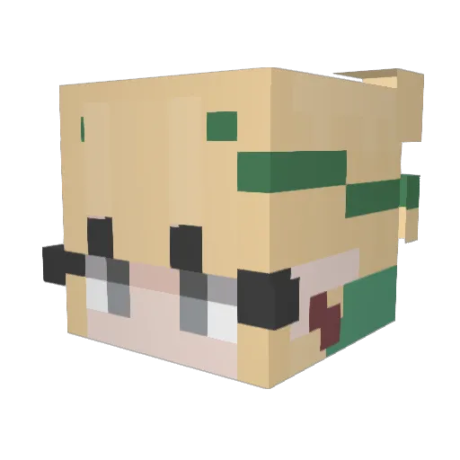 SpecialC4 Minecraft avatar head, 3D render