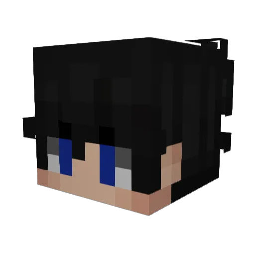 SpecialEdRetart Minecraft avatar head, 3D render