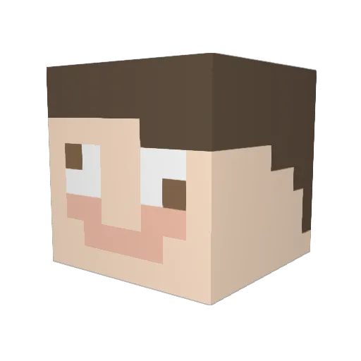 SpecialEducated Minecraft avatar head, 3D render