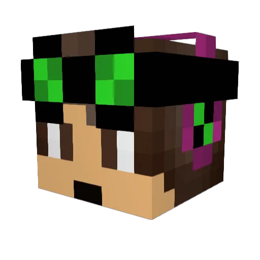 SpecialSceptile8 Minecraft avatar head, 3D render