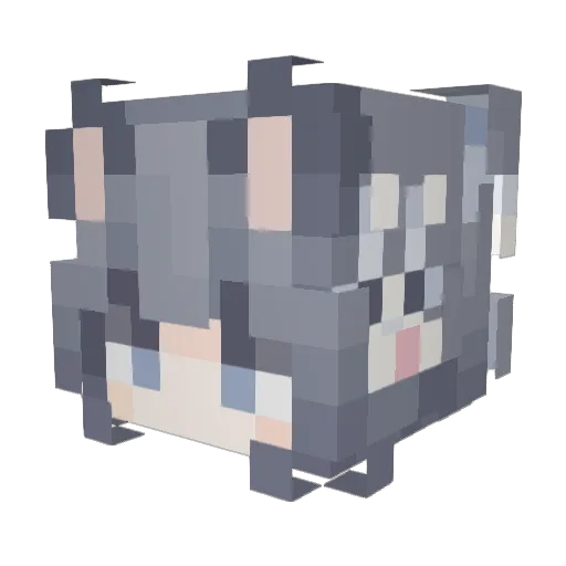 SpecialWink Minecraft avatar head, 3D render