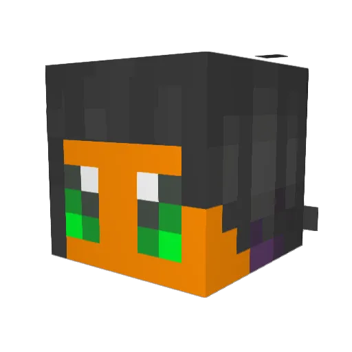 Special_Feelings Minecraft avatar head, 3D render