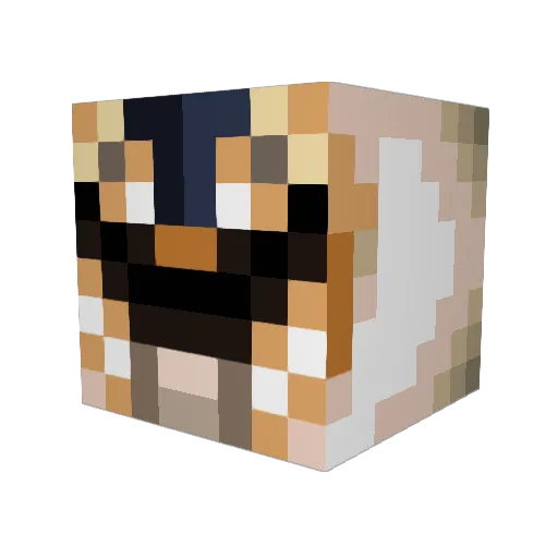 Special_Sam135 Minecraft avatar head, 3D render