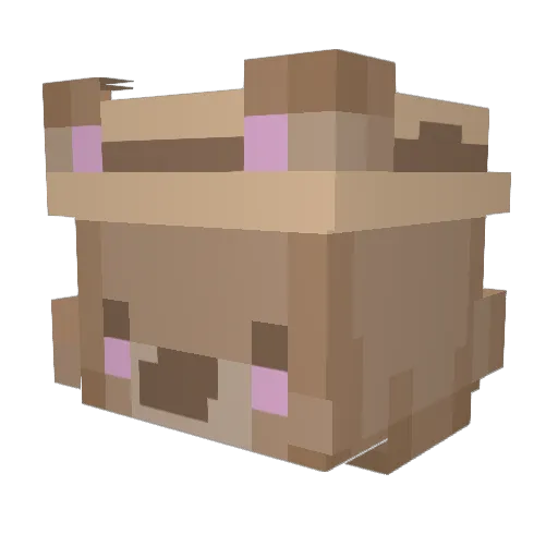 Specific1 Minecraft avatar head, 3D render