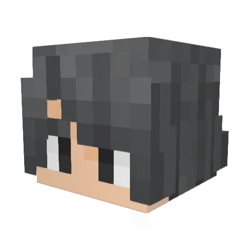Specter8822 Minecraft avatar head, 3D render