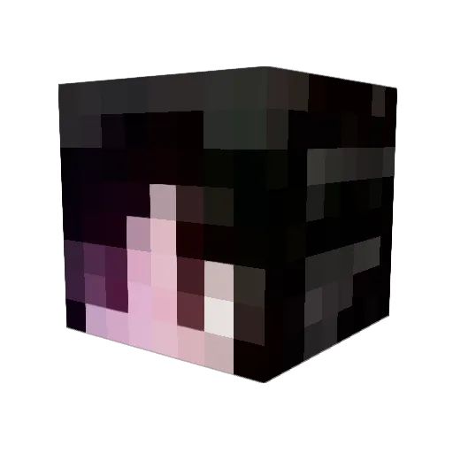 Specter_Fox Minecraft avatar head, 3D render