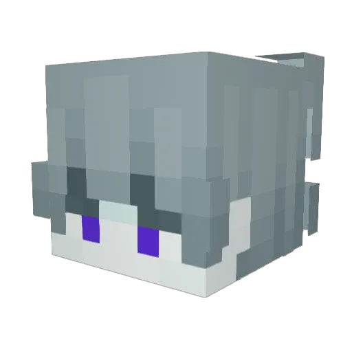 Specterier Minecraft avatar head, 3D render