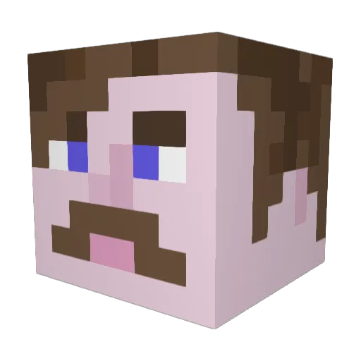 Specticat Minecraft avatar head, 3D render