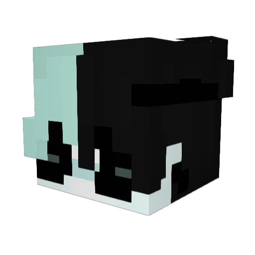 Spectr3sto Minecraft avatar head, 3D render