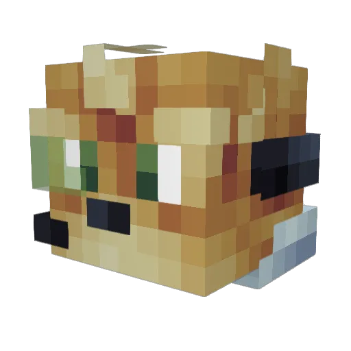 Spectre1st Minecraft avatar head, 3D render