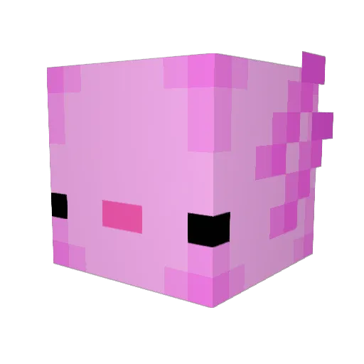 Spee1 Minecraft avatar head, 3D render
