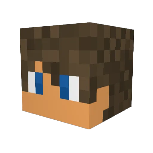 SpeedDestruction Minecraft avatar head, 3D render