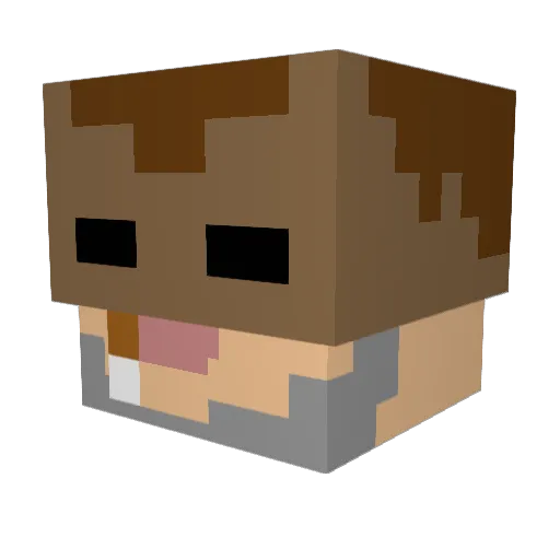 SpeedJunkie Minecraft avatar head, 3D render