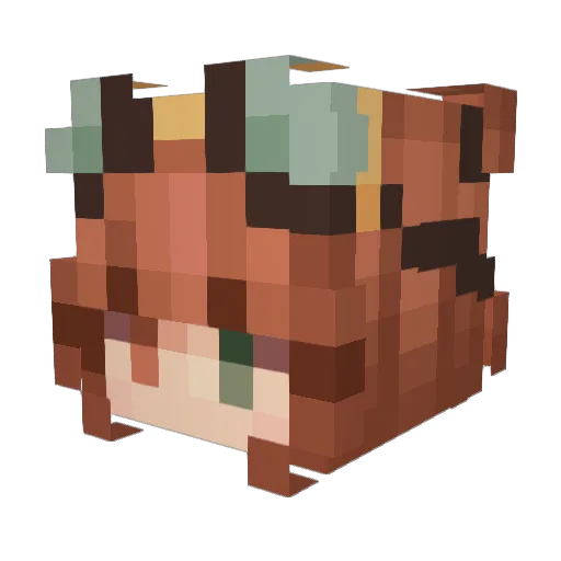 SpeedLow_ Minecraft avatar head, 3D render