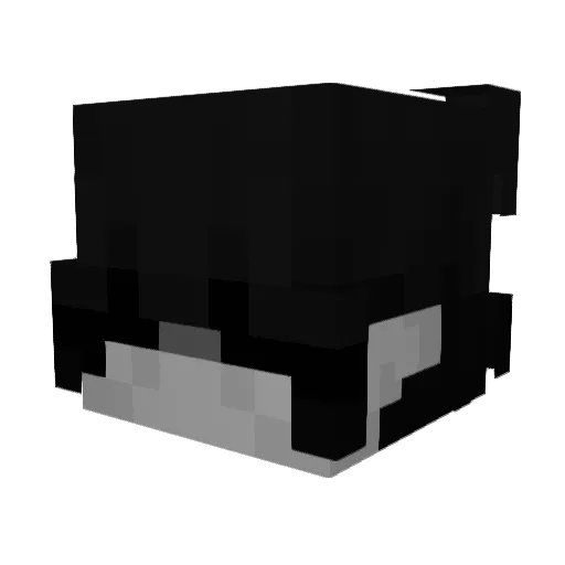 SpeedMCYT Minecraft avatar head, 3D render
