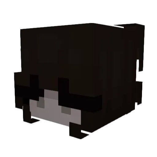 SpeedShadow54 Minecraft avatar head, 3D render