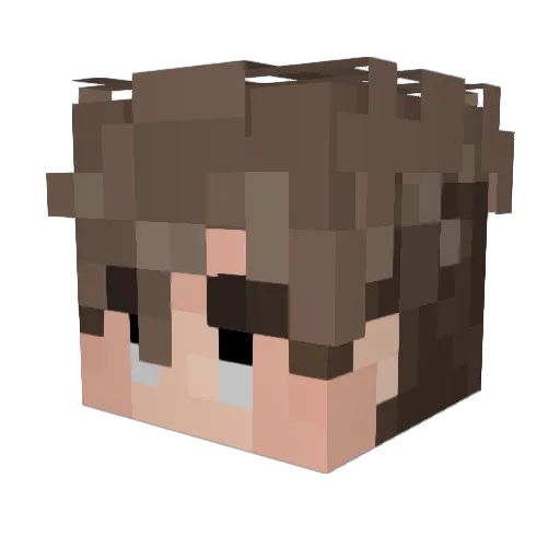 SpeedTrapPvP_ Minecraft avatar head, 3D render
