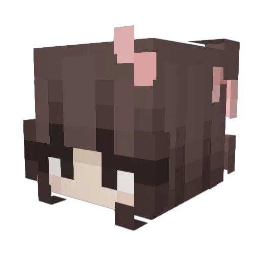 Speed_Wobble Minecraft avatar head, 3D render