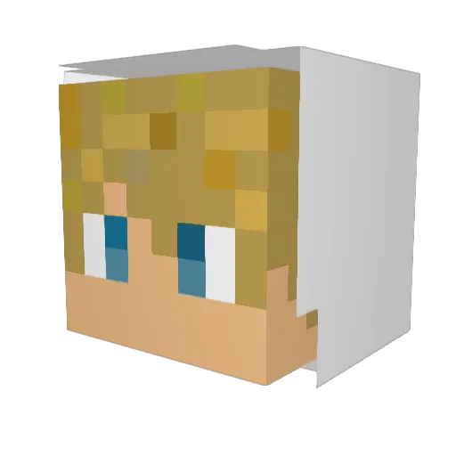 Speedbird2000 Minecraft avatar head, 3D render