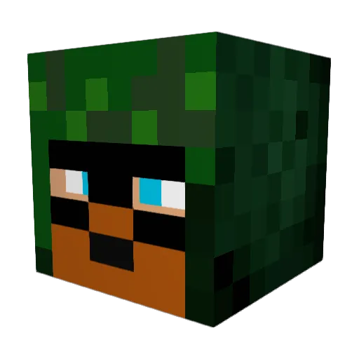 Speedfly Minecraft avatar head, 3D render