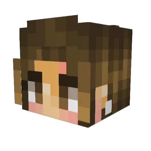 Speedforce3 Minecraft avatar head, 3D render