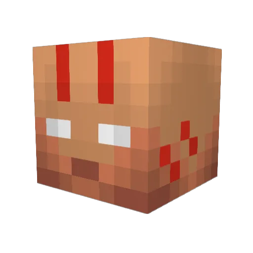 Speedistarr Minecraft avatar head, 3D render