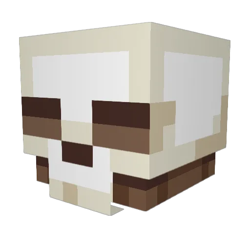Speedlightning37 Minecraft avatar head, 3D render