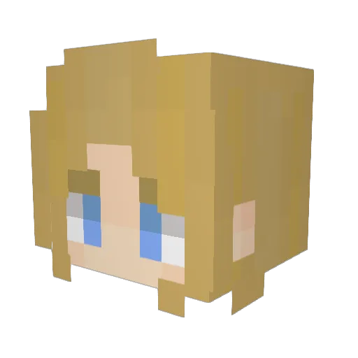 Speedninja456 Minecraft avatar head, 3D render