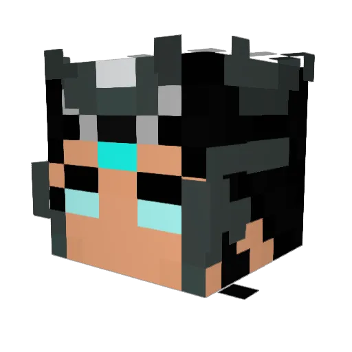 SpeedwayGuy Minecraft avatar head, 3D render