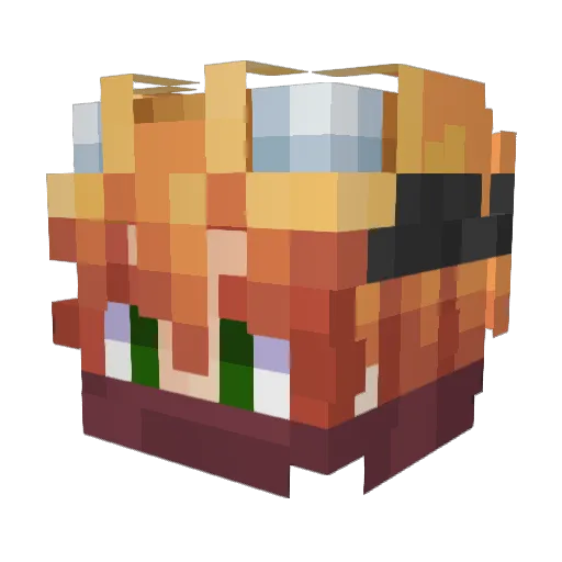 SpeedyB_ Minecraft avatar head, 3D render