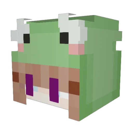 SpeedyMedefron Minecraft avatar head, 3D render
