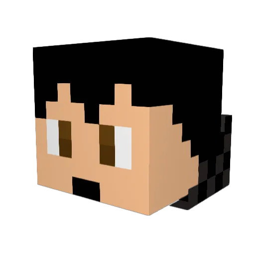 SpeedySwimmerSD Minecraft avatar head, 3D render