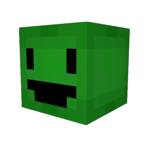 SpeedyTurtle123 Minecraft avatar head, 3D render