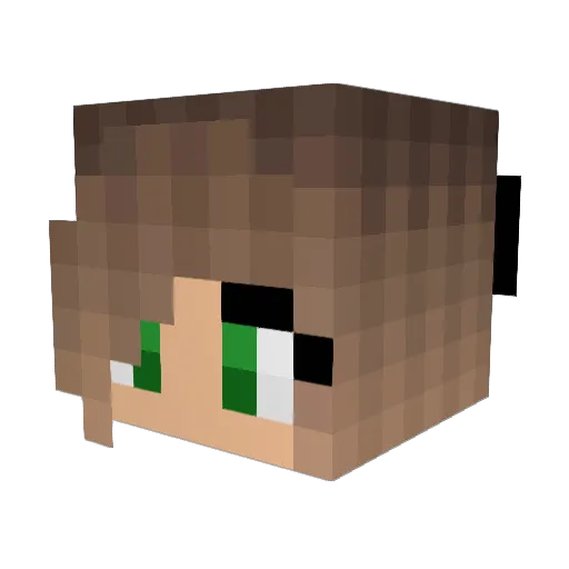 Speedy_Con_Snask Minecraft avatar head, 3D render