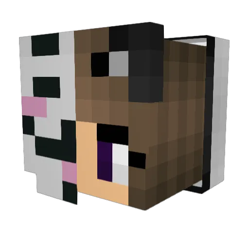 SpeedysAlt21 Minecraft avatar head, 3D render