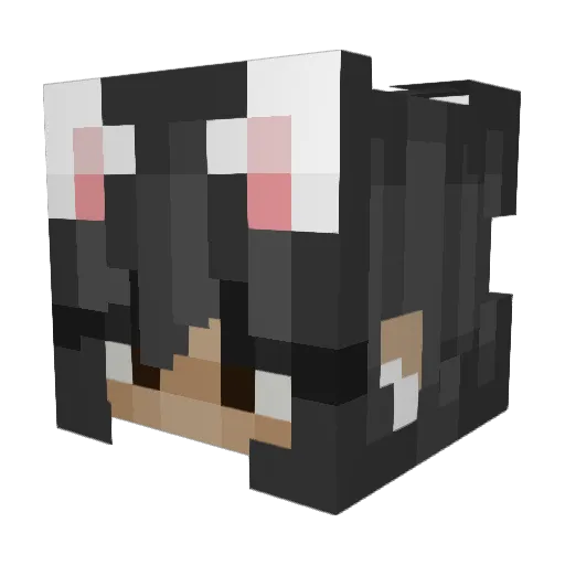 SpeeedMC Minecraft avatar head, 3D render