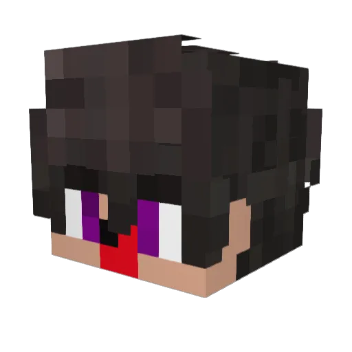 SpeemagrowDMC Minecraft avatar head, 3D render