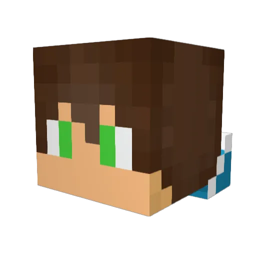Speidy01 Minecraft avatar head, 3D render