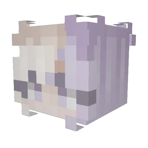 Speirbhloic Minecraft avatar head, 3D render