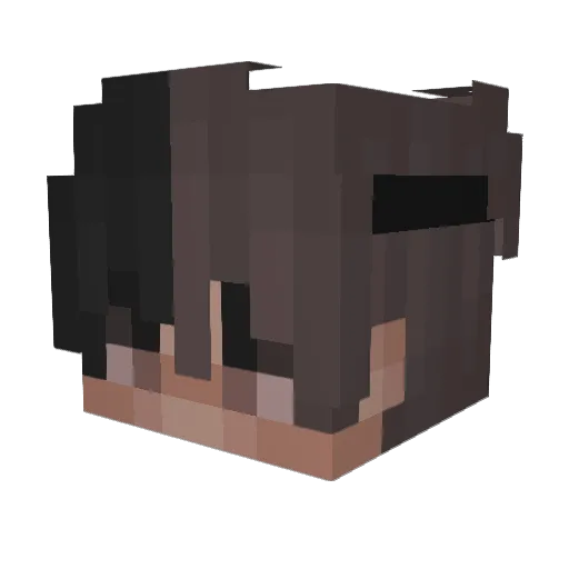 Spelaxs Minecraft avatar head, 3D render