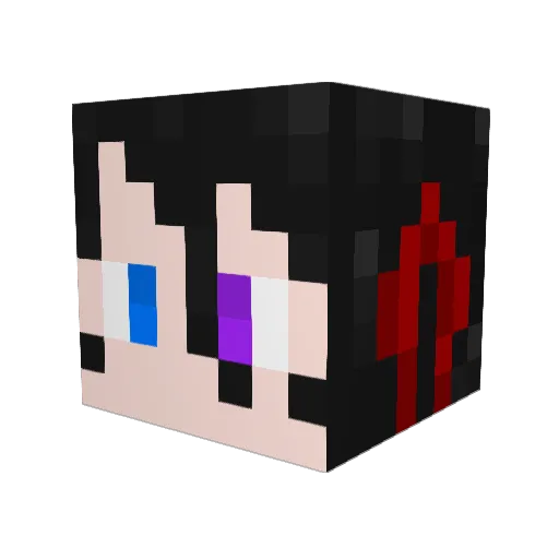 Spell_Code Minecraft avatar head, 3D render