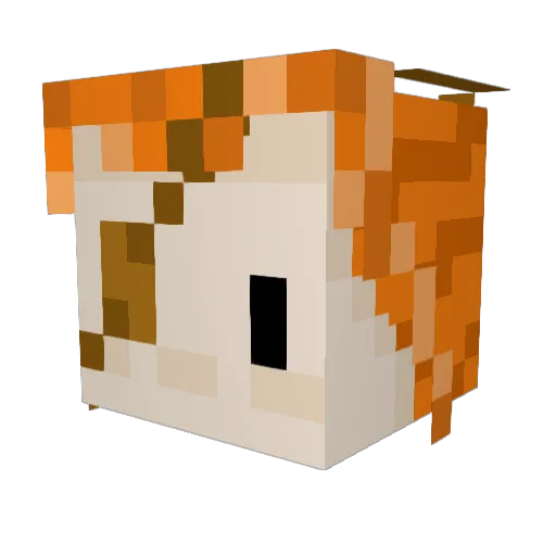 Spell_Sword Minecraft avatar head, 3D render
